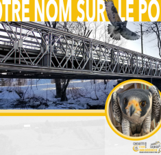 Campagne Votre nom sur le pont : Une pièce du pont Champlain d’origine à Chouette à voir!