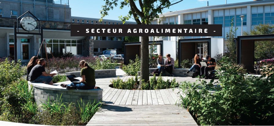 La grande région de Saint-Hyacinthe : Épicentre québécois de l’activité agroalimentaire