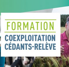 Coexploitation cédants-relève : une formation pour bien préparer son transfert de ferme