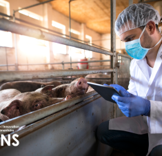 La santé animale : un segment indissociable de l’innovation agroalimentaire