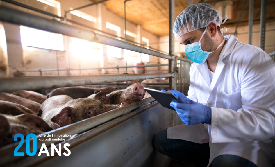 La santé animale : un segment indissociable de l’innovation agroalimentaire