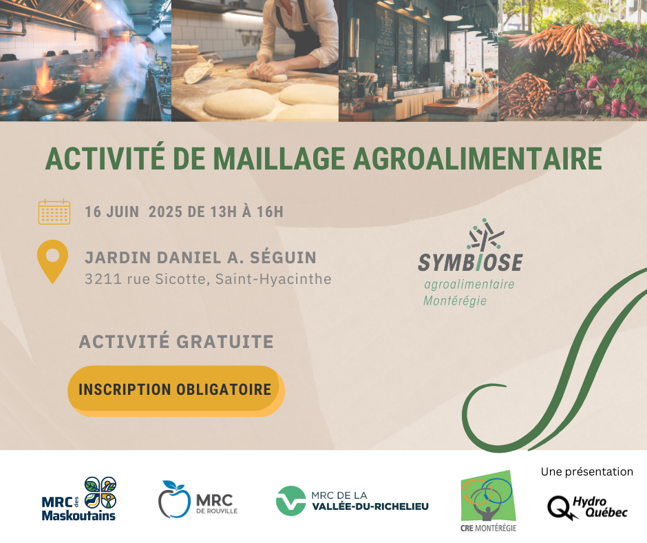 Atelier de maillage